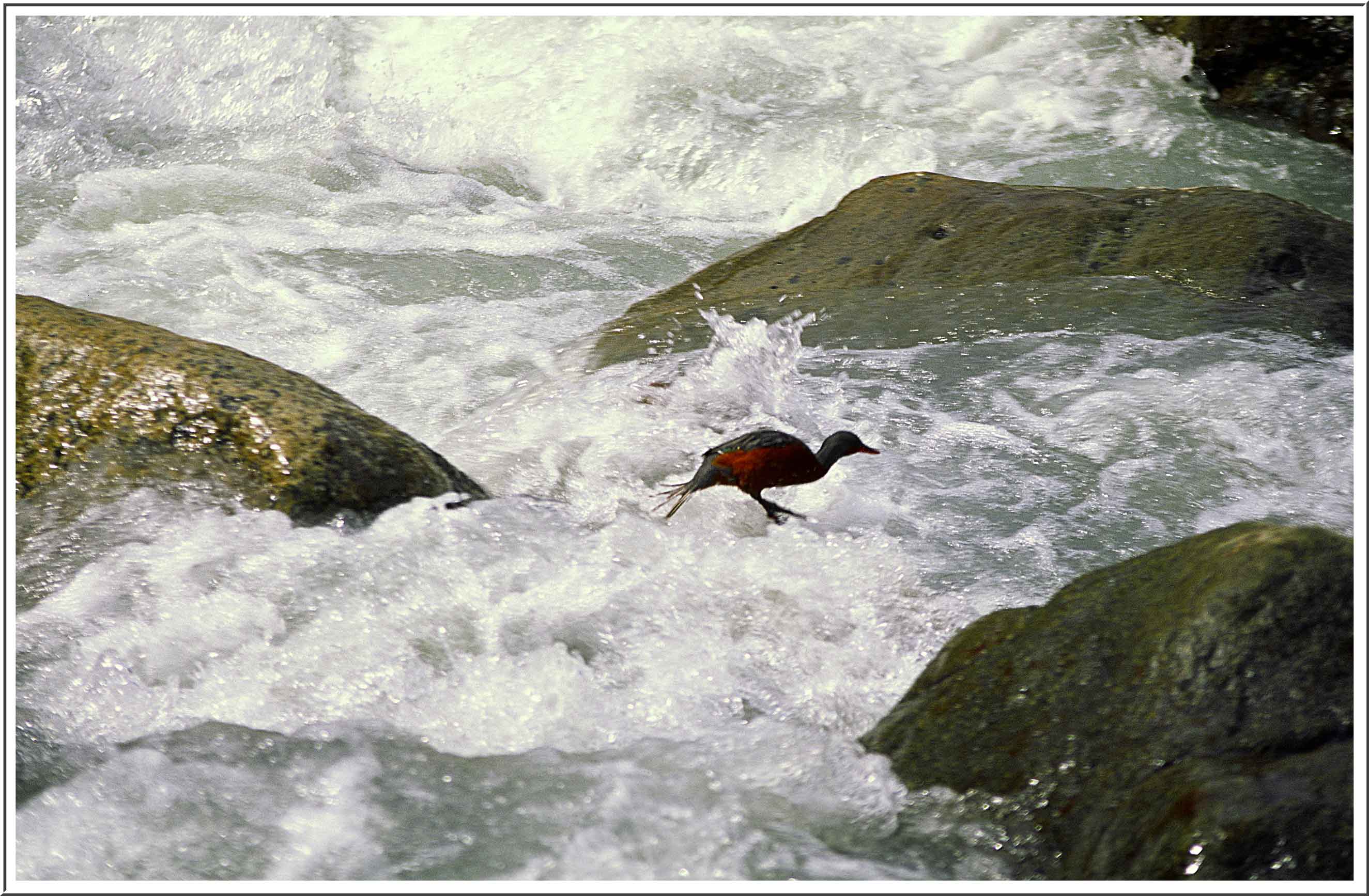 Next slide